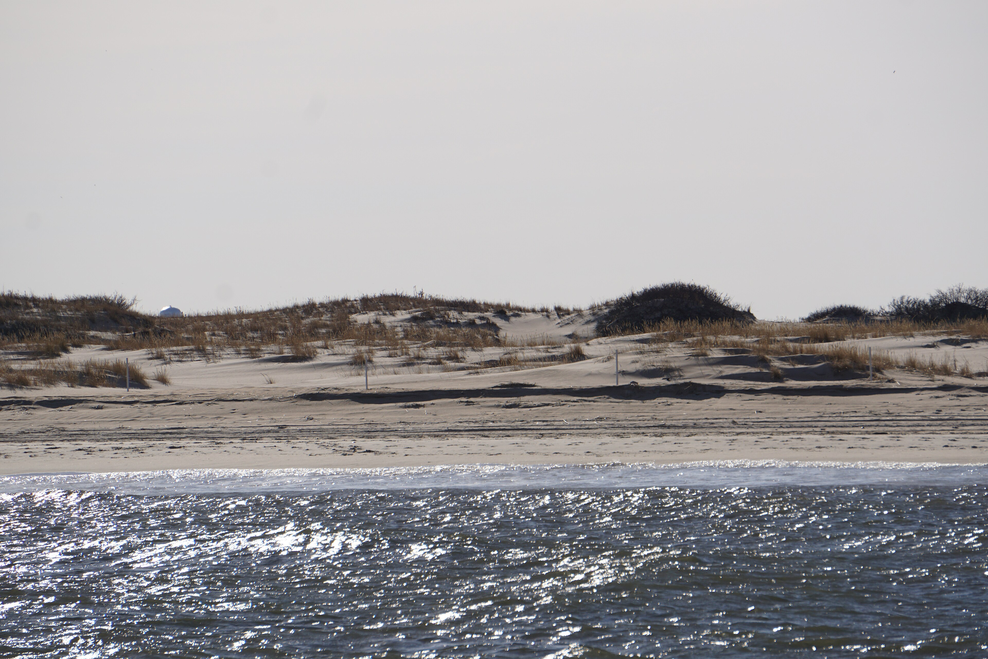 A WWII observation tower among the dunes at Cape Henlopen State Park